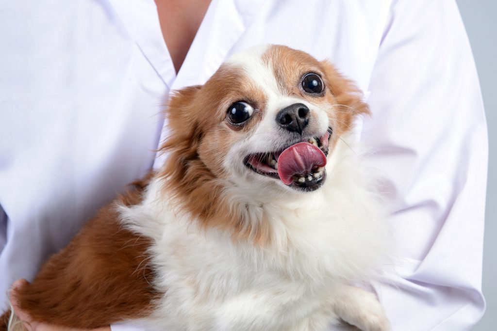 Deworming